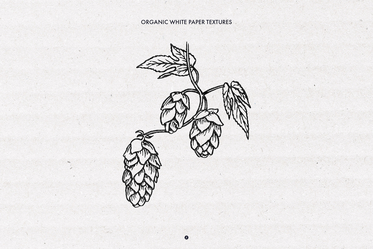 Organic White Paper Textures, a Texture Graphic by Freezerondigital (Photo 3 of 6)