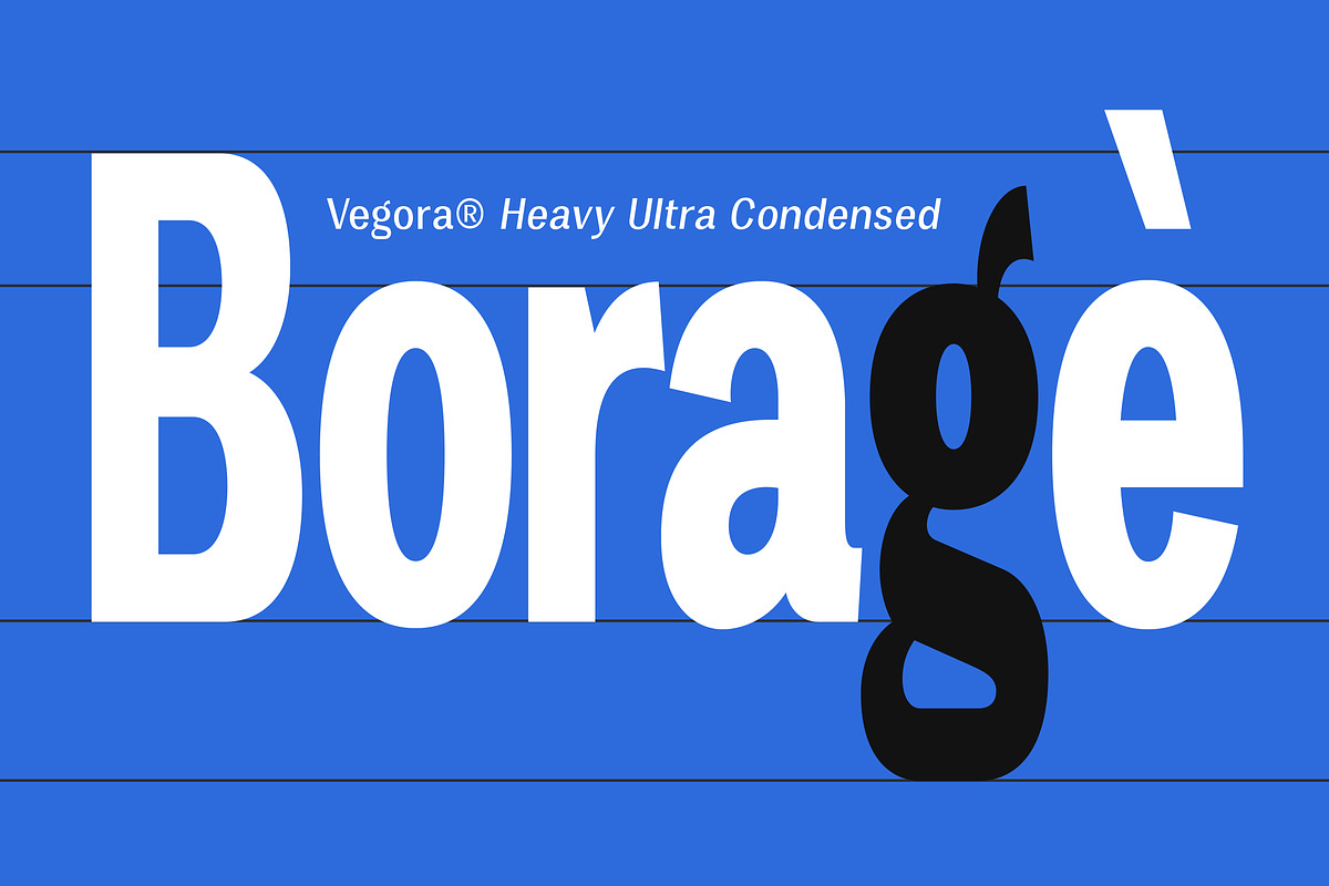 Vegora Display Sans, a Sans Serif Font by Fargun Studio (Photo 3 of 15)