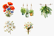 Wildflower Bouquet, Rustic Florals, an Illustration by CreationArt (Thumbnail 2 of 5)