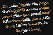 Voltury Vintage Script (with extras), a Script Font by Angin Studio (Thumbnail 10 of 11)
