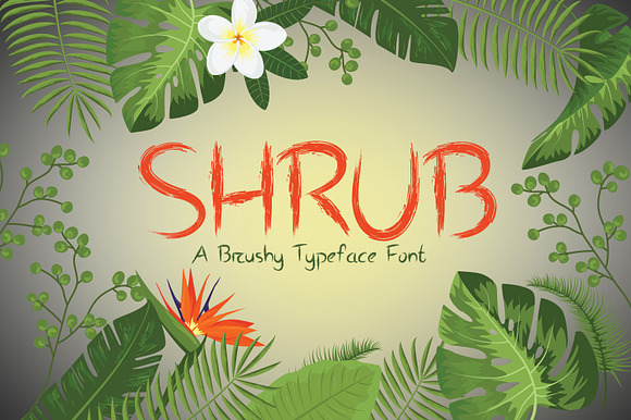 Shrub Brushy Font preview 8