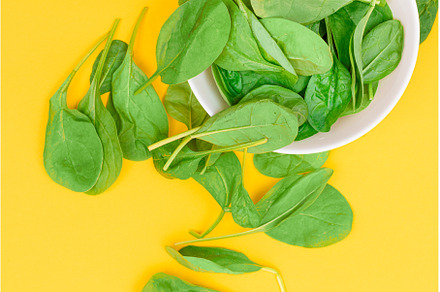 Fresh Baby Spinach Leaves in White, a Food & Drink Photo by InfinitumProdux