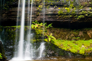 Russell Falls Waterfall Tasmania, a Nature Photo by THP Creative