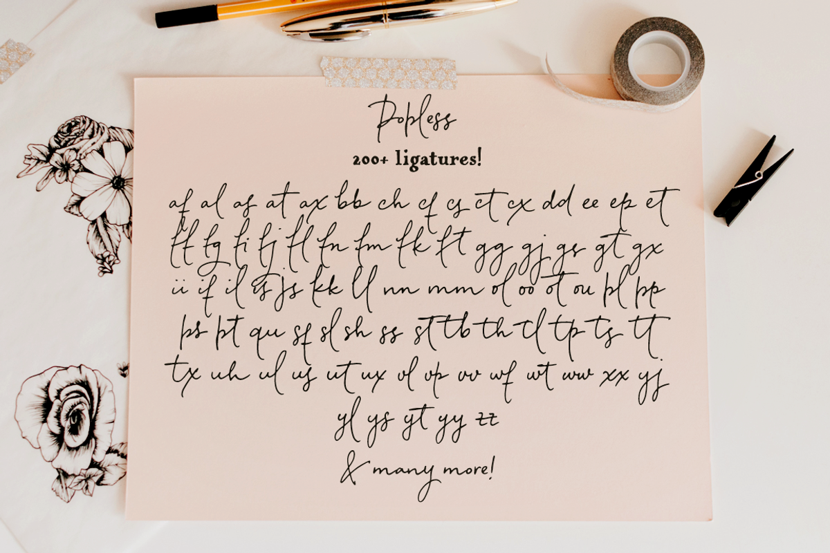 Popless script and serif font duo preview 6