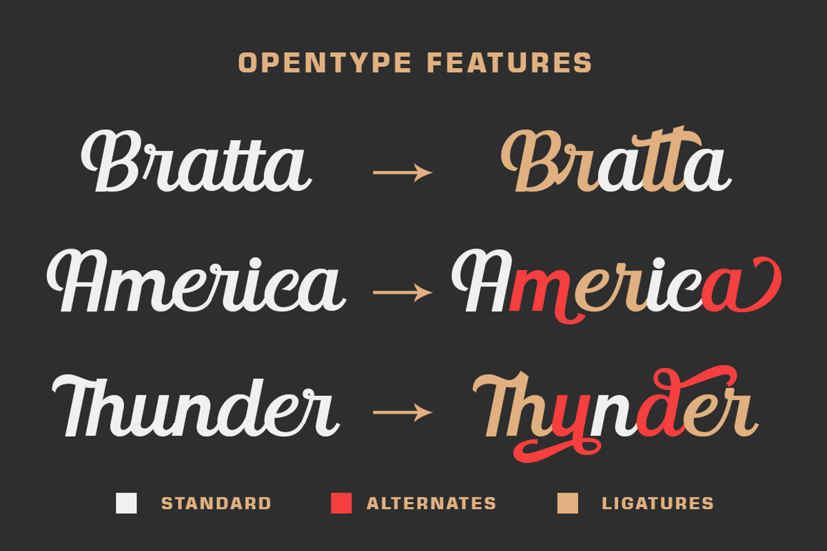 The Drakuta Vintage Script Font, a Script Font by nizarbagasm (Photo 5 of 8)