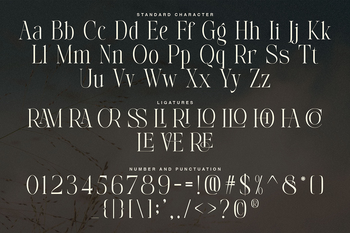 Avelire-modern ligature, a Serif Font by ToniStudio (Photo 8 of 11)
