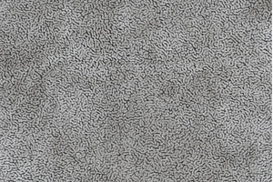 Gray colored fabric cloth with short, a Background Photo by Alexander-Piragis