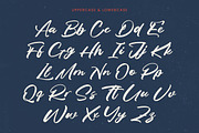 Fasten Dhecta Modern Brush Font, a Script Font by Letterena Studios Script (Thumbnail 17 of 20)
