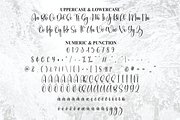 Winterly | Script Font, a Handwritten Font by Scratchones (Thumbnail 7 of 9)
