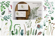 Mashrooms & Herbs Clipart, an Illustration by BalanceUA (Thumbnail 3 of 10)
