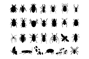 Insect SVG