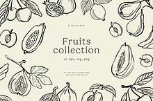 FRUITS line art illustrations by  in Illustrations
