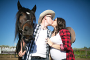Sunny Farm- 7 Lr presets, an Action Add-On by Graphics, Presets, Photos (Thumbnail 6 of 15)