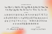 Mastin Elegant Ligature Serif Font, a Serif Font by Perfectype (Thumbnail 8 of 8)