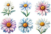 Watercolor Spring Daisy Flower Clipa, an Illustration by DreamPrint404 (Thumbnail 5 of 7)