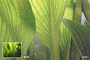 TEXTURIZER Grainy Photoshop Effect, a Templates & Theme by velvetmade.designs (Thumbnail 5 of 14)