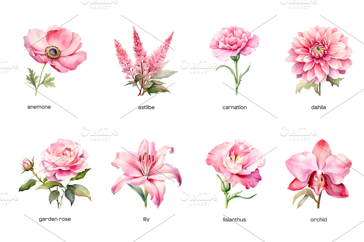 Watercolor pink wedding flowers set, an Object Illustration by Art and Funny (Photo 2 of 3)