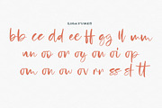 Yellowstone, a Script Font by StereoType (Thumbnail 11 of 11)