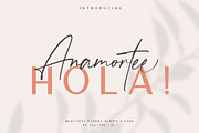 Anamortee // Modern Calligraphy Font, a Script Font by Vultype Co. (Thumbnail 1 of 13)