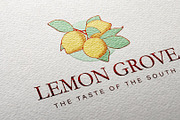 Lemon Grove Logo Template for Canva, a Branding & Logo Template by CactusGroveBranding (Thumbnail 7 of 7)