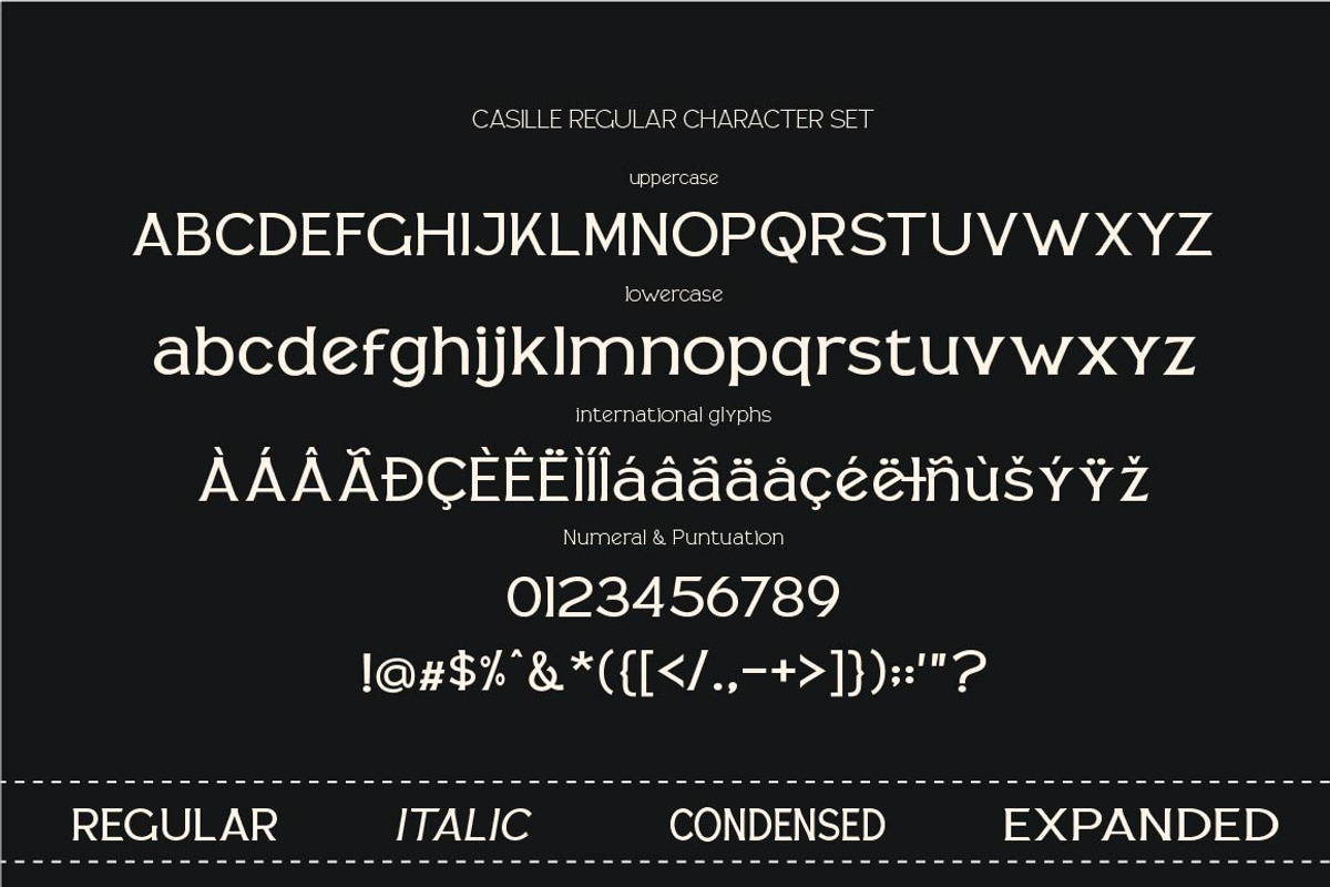 CASILLE - Serif Family, a Serif Font by Olexstudio (Photo 5 of 7)