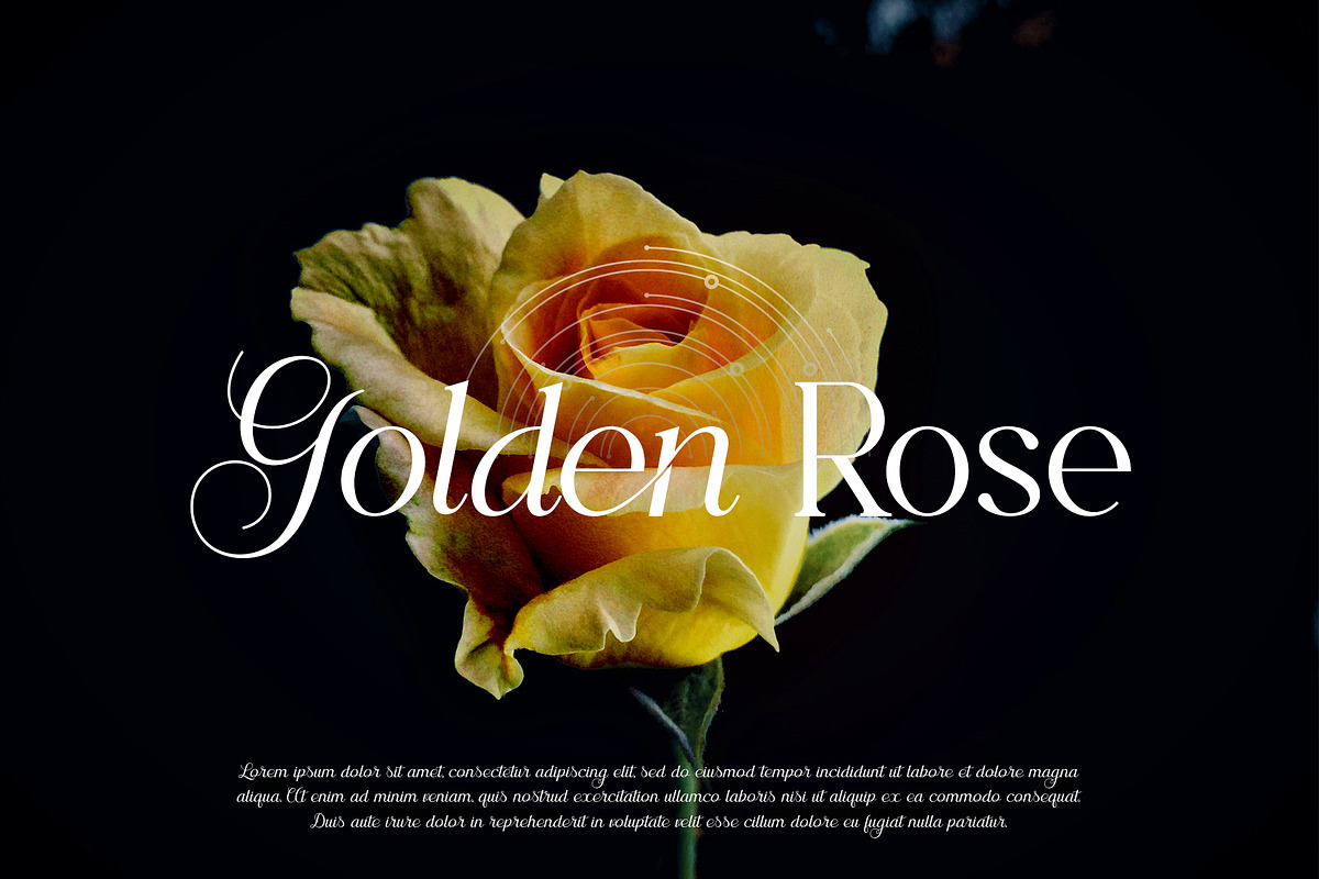 Kreata Agnore - Font Duo, a Serif Font by Idea Studio (Photo 6 of 16)