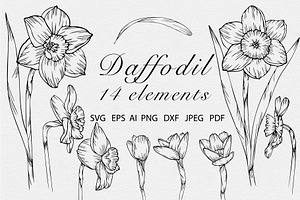 Daffodil flower SVG Line art vector
