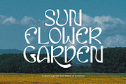 Eiclare Decorative Display Font, a Handwritten Font by Maulana Creative (Thumbnail 7 of 7)