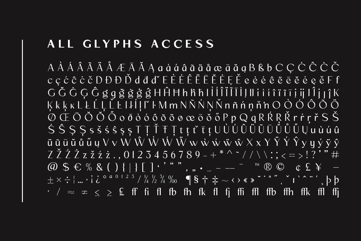 Mizhon Sans| 12 Fonts, a Sans Serif Font by Skinny Type (Photo 6 of 8)