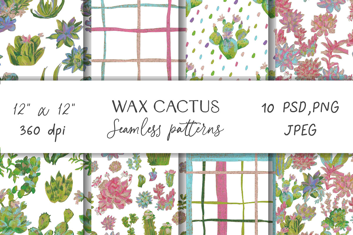 Cactus & Succulent Seamless Patterns, a Pattern Graphic by Lucyinyourheart (Photo 1 of 10)