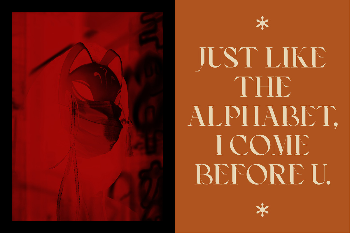 AO Leoney - Display Font Family, a Serif Font by OwunStudio (Photo 20 of 22)