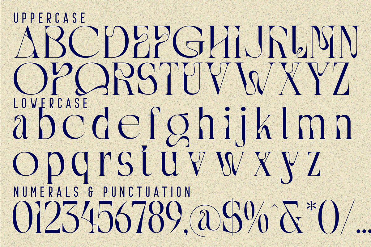 Shortened Connection - Elegant Font, a Serif Font by 177Studio (Photo 7 of 8)