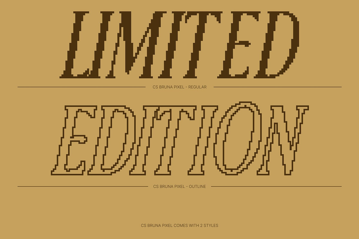CS Bruna Pixel, a Serif Font by Craft Supply Co. (Photo 4 of 8)