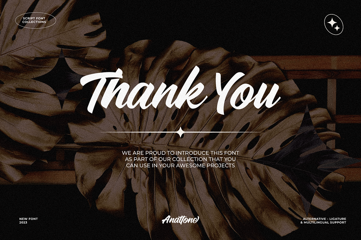 Anattone - Modern Script Font, a Script Font by Lettermine (Photo 9 of 9)