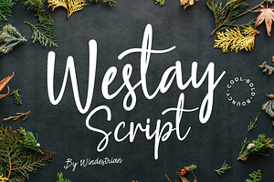 Westay Script | Bold Script