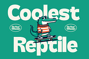 Skatyn Gator Modern Bold Serif, a Serif Font by timelesstype.co (Thumbnail 2 of 15)