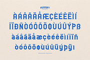 Rookie Assist | Sport Display Font, a Slab Serif Font by Denustudios (Thumbnail 10 of 12)