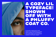 Phluff Variable Round Sans Font, a Sans Serif Font by That That Creative (Thumbnail 5 of 17)