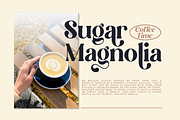 Divale Magical - Stylish Retro Font, a Serif Font by RagamKata (Thumbnail 3 of 9)