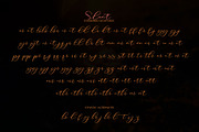 Roommates Script (Reguler & Slant), a Script Font by Jhoel Design (Thumbnail 15 of 16)