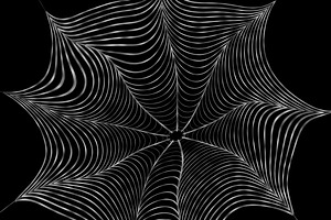 Spider Web Backgrounds