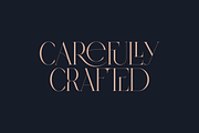 SALE! Type Master - serif font, a Serif Font by VP Fonts (Thumbnail 9 of 24)