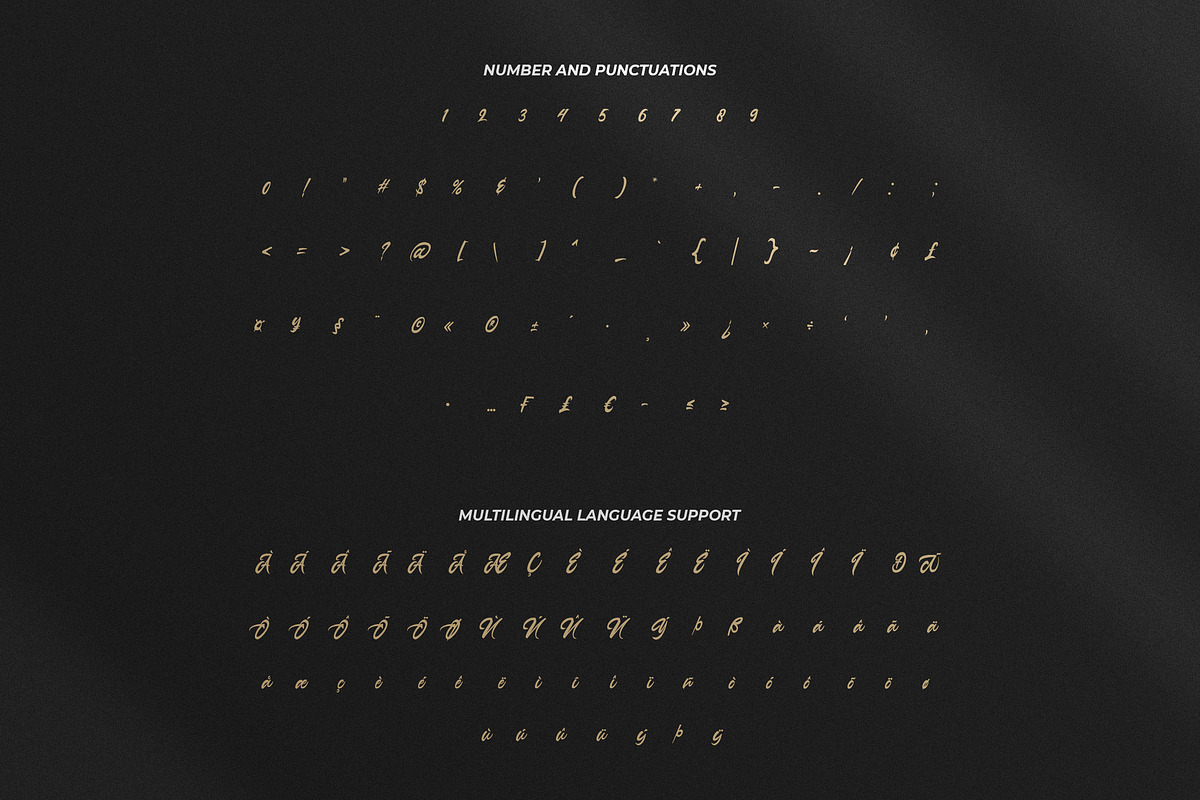 Anasite Malela - Bold Script Font, a Script Font by StringLabs (Photo 10 of 11)