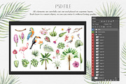 TROPICAL FOREST - Watercolor set, an Animal Illustration by Navenzeles (Thumbnail 12 of 16)