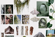 Hollow: Mystical Forest Collage Pack, an Object Graphic by Purple (Thumbnail 7 of 13)