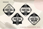 Premium Badge Logo or Emblem Design, a Branding & Logo Template by C-Kav (Thumbnail 1 of 5)