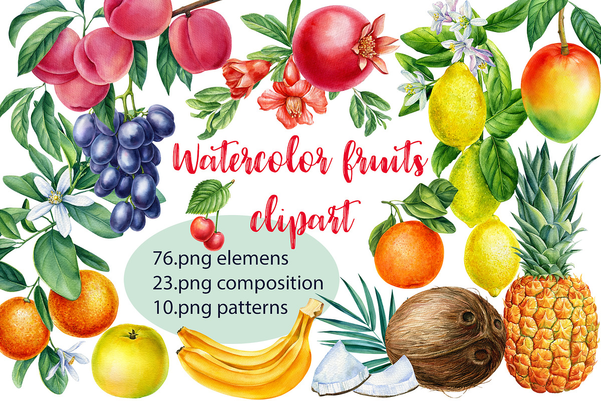 Watercolor fruits clipart, an Illustration by Hanna Hryharenka (Photo 1 of 14)