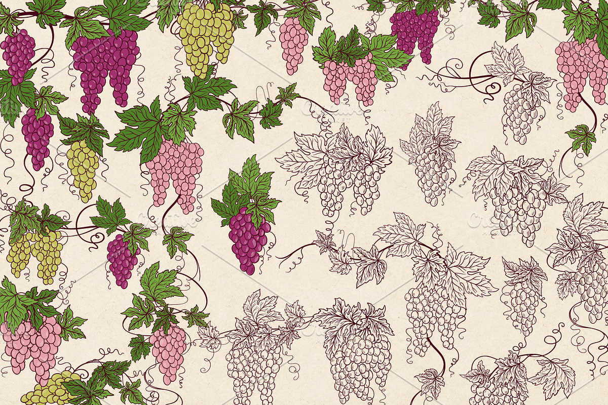 Vintage Grape Vector set Wine Labels, a Food Illustration by Neliakott ♥ (Photo 9 of 10)
