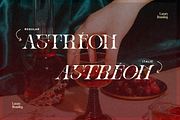 Ronel Luxury - Modern Logo Font, a Serif Font by Illushvara Design (Thumbnail 11 of 14)