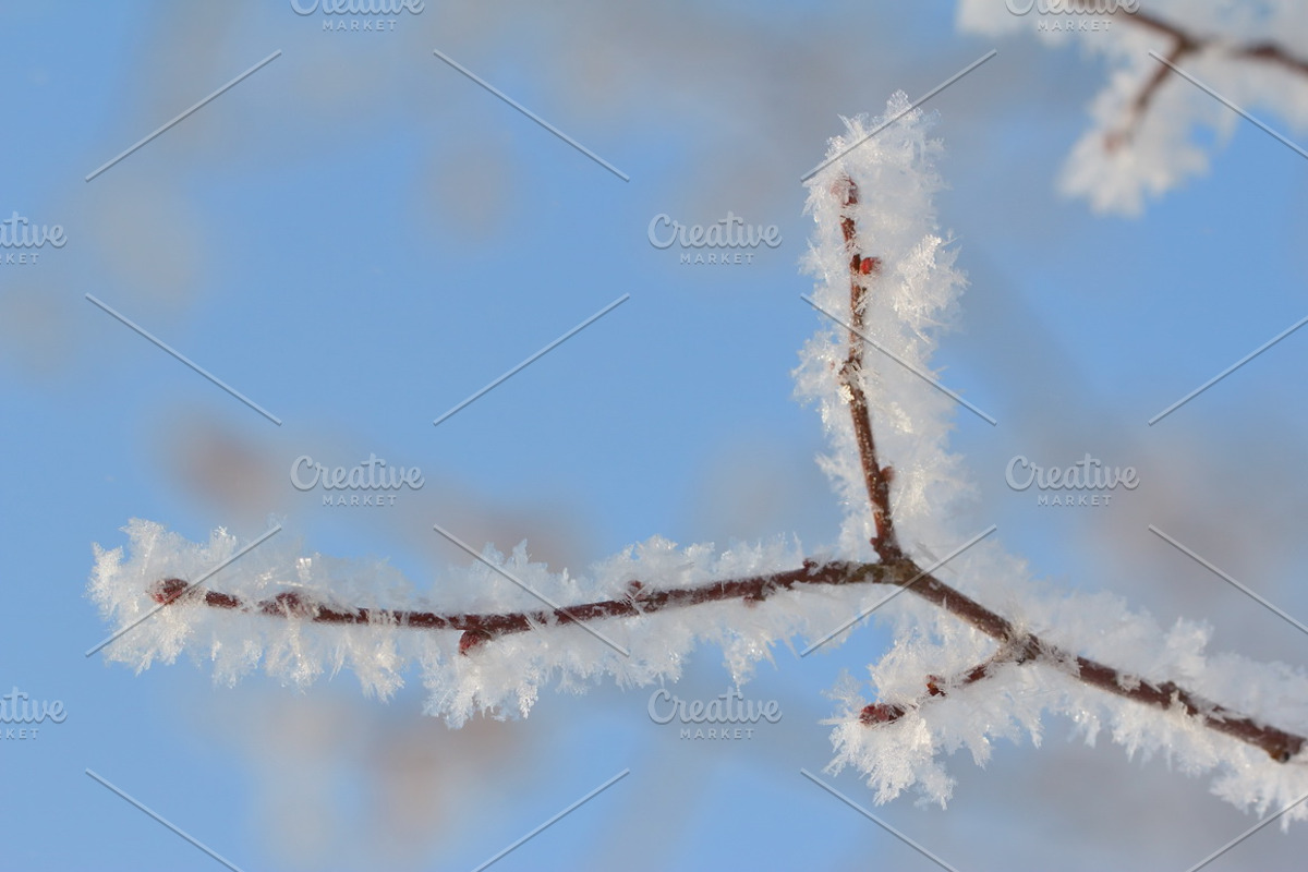 Cosy winter. Bundle of 14 images., a Background Photo by lisa870 (Photo 11 of 17)